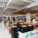 화이트동물메디컬센터 이미지