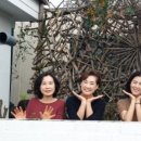 바오밥나무 민박 이미지