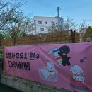 베베 애견유치원 이미지