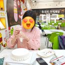 대구여행 이색체험 동성로 내가만든 미 케익 만들기 내돈내산