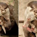 마리나산부인과 이미지