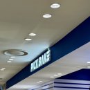 현가츠 | (서울/을지로) 롯데백화점 본점 픽베이크 에그타르트 디저트 선물 강추 내돈내산 후기