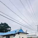 동진면사무소 이미지