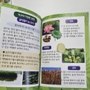 어린이 플루트 교실 2 | 초등 아이와 가기 좋은 서대문자연사박물관ㅣ 박물관 교실 및 도슨트 주차 정보 후기