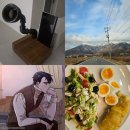 커피베이 언양점 | 25년 3월 일상(유리의벽 2차 정주행/남편과 플스 it takes two/피부관리/결혼식/마피아버거/양배추식단...