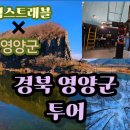 킴스트래블