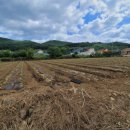 포항노다지마을 이미지