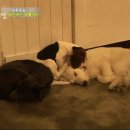 종일농장 이미지