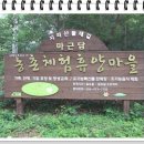 지리산 자락 산청군의 이상향/마근담 마을 이미지