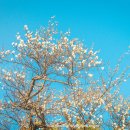 구조라로 2길 이미지