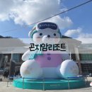 찬스게임랜드 | 리조트만 5번 이상 간 사람의 노블B 미취사형 객실/사전등록, 모바일키/스키장, 눈썰매장/내돈내산 후기