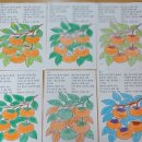 서예교실(주간) 이미지