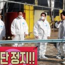 방역 이미지