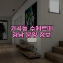 가곡동 티스토리