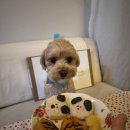 모쿠, 또모쿠 이미지