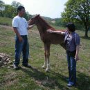 유정목장 이미지