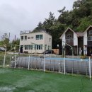 펫아일랜드2 이미지