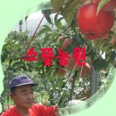 소뜰농장 이미지