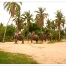 코끼리시장 이미지