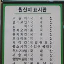 김성래피자 네이버블로그