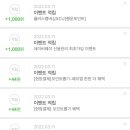 늘다인마켓