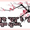 무비타운 이미지