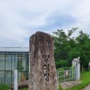 우보면사무소 | 우보 장어 자라 양식장에서 민물장어 포장해서 민물장어구이~!