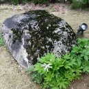 돌담 하우스 이미지