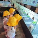 멍멍친구 애견샵 이미지