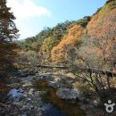 구룡레저타운야영장 이미지