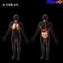 요로법~자신의 오줌을 마시는 행위 이미지