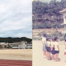 부강초등학교 세종포스트