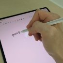 연필스케치(중급) | 삼성 갤럭시탭 S11 WiFi 128GB SM-X730NZAEKOO 최신할인