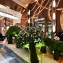 트로피칼드림리조트 | 인천 영종도 인스파이어 리조트 호텔 디럭스 더블 퀸 룸 숙박 후기