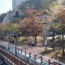 APEC나루공원1호 이미지