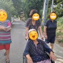 동서요양병원 | 영동군 월류봉 다녀온 후기
