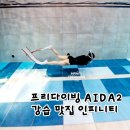 2 | 용인 딥스테이션 프리다이빙 강습 인피니티 AIDA 레벨2 후기