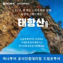 드림온투어