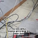 장안고등학교 이미지