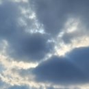 스피드메이트 대전점 이미지