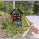 드라마황토펜션 네이버블로그