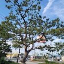 웅포주유소 이미지