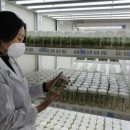 농업기술센터 본관 이미지