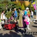 씨~월드 이미지