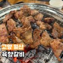 육향갈비 | 일산역 근처 맛집 추천 육향갈비 한정식집 같은 가성비 갈비 맛집