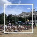 (주)로코스샵 | 워커힐 파크 콘서트 디즈니 픽사 오케스트라 첫 공연 관람 후기, 서울 가족 아이와 가볼만한 곳