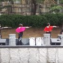 난타(오후) Daum카페
