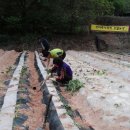 연서농장 이미지