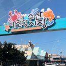 솔안집 네이버블로그