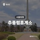 추풍령휴게소(서울방향) | 추풍령휴게소 서울방향 상행 벚꽃 맛집 전기차